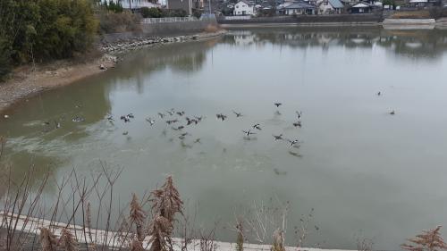 今日は全国的に冷えてるみたい