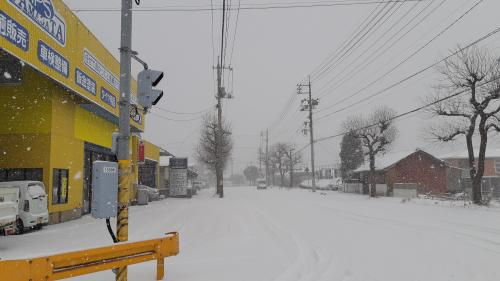 久しぶりの雪！