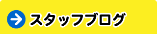 スタッフブログ